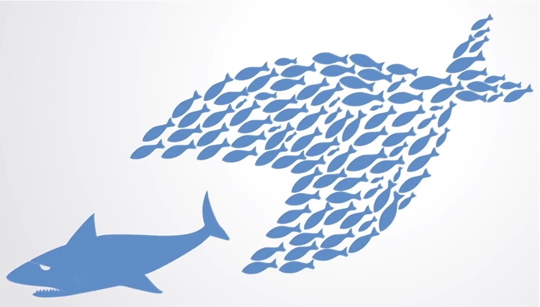 SharkGate Blockchain